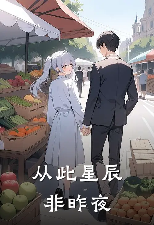 从此星辰非昨夜